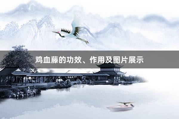 鸡血藤的功效、作用及图片展示