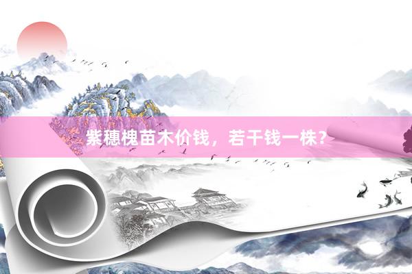 紫穗槐苗木价钱，若干钱一株？