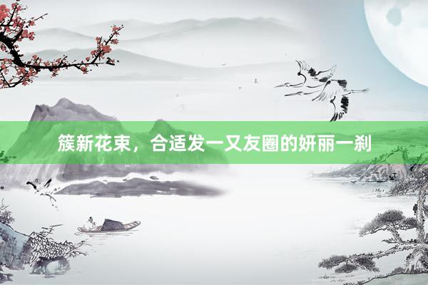 簇新花束，合适发一又友圈的妍丽一刹