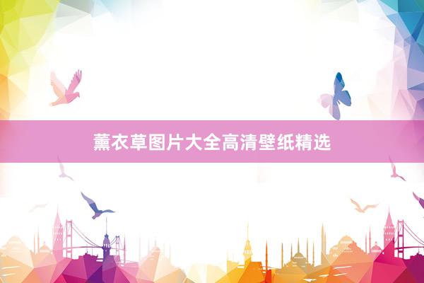 薰衣草图片大全高清壁纸精选
